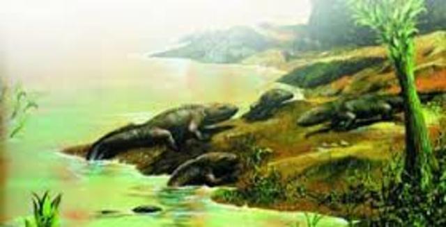 Threshold 6: To land