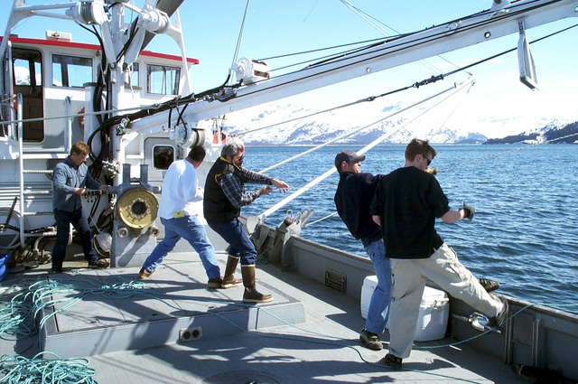 Environmental monitoring, sampling for hydrocarbons in mussels