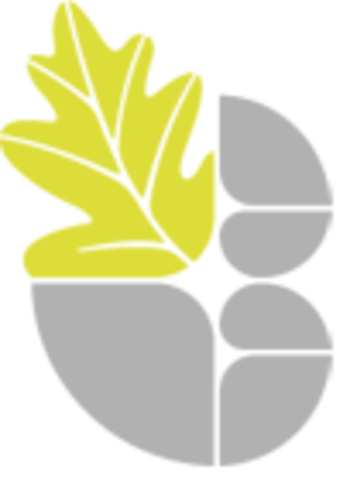 Fair oak became an Academy