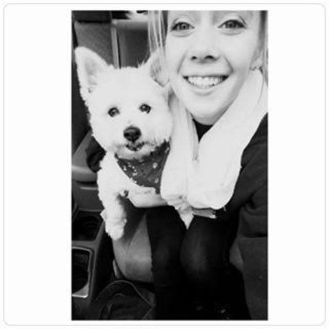 Tengo mi perro Comet!