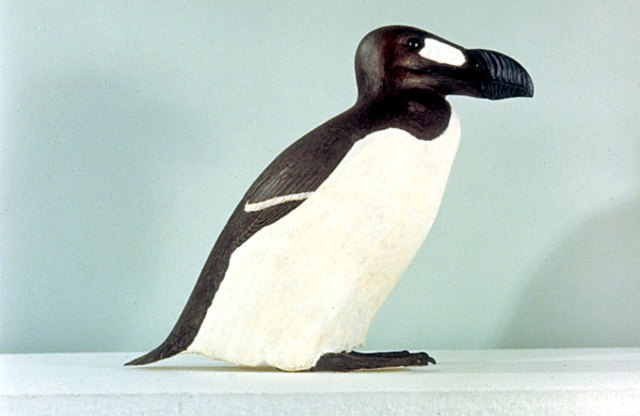 Great Auk