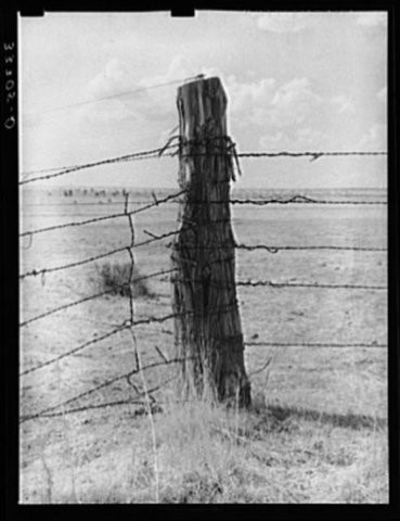 1965 Dolan makes wires in Manhattan