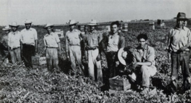Bracero Program