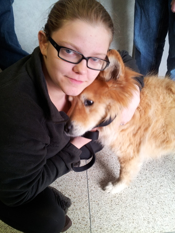 Mon premier chien arrivé