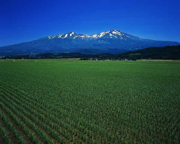 Federal Land policy and Management Act