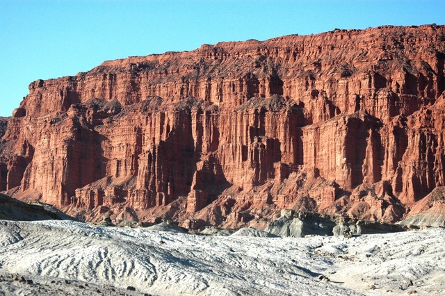 ROCAS DE ISUA (ACTIVIDAD BIOLOGICA)