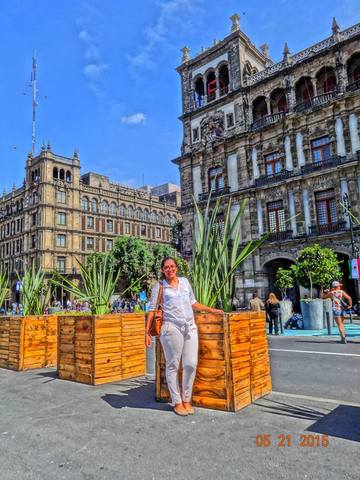 Certifique curso sana tu vida