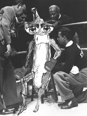 Transmedia Mundo Real