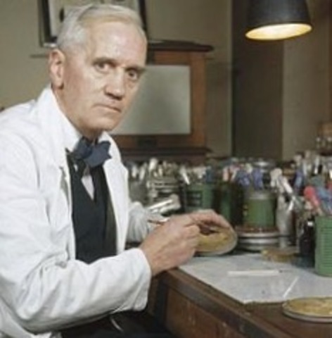 El doctor Alexander Fleming descobreix la penicil·lina.