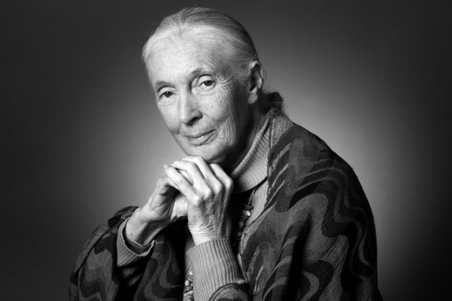 Jane Goodall