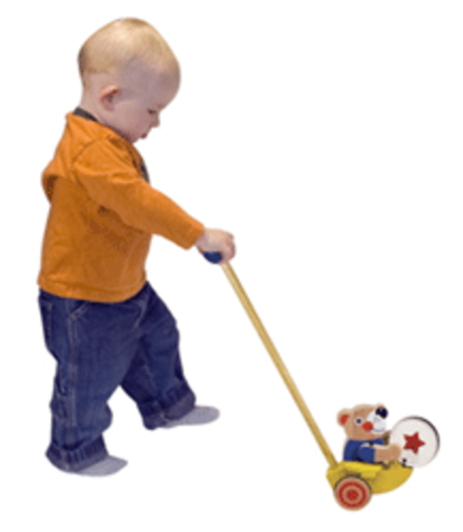 First Two Years - Biosocial: