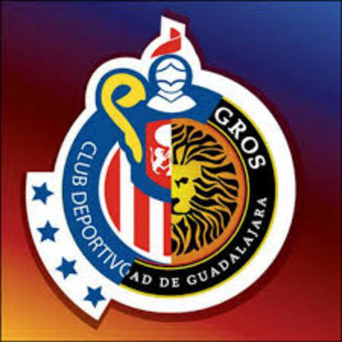 Participar en actividades extracurriculares.