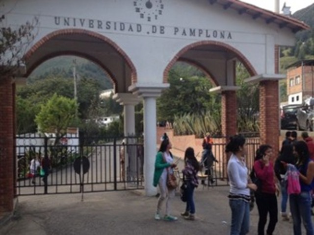 Formación en  Licenciaturas.