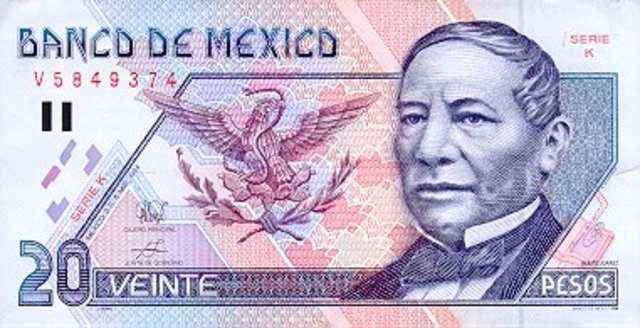 The Mexican Banking Crisis