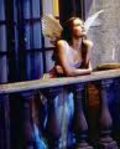 Sunday - Late Evening