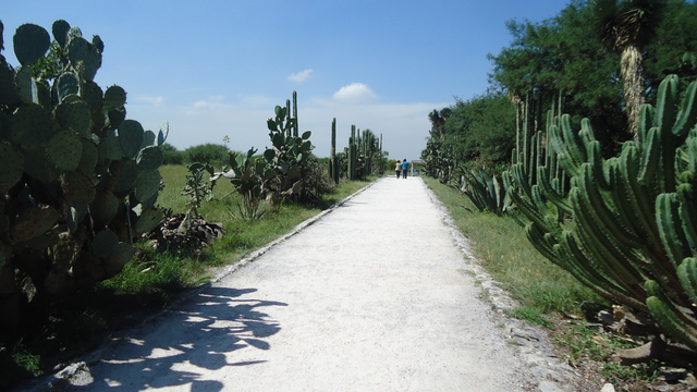 viajar por todo el País