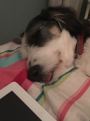 I find Charlotte, love of my life