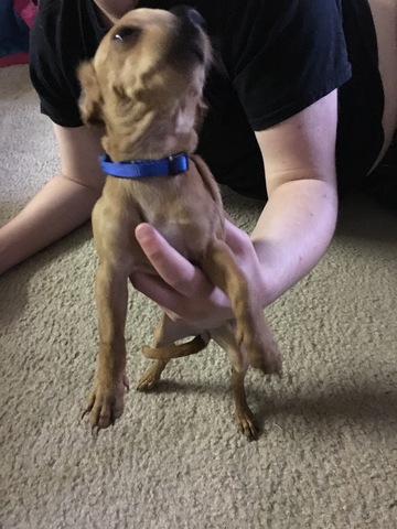 Erika adopts Gigi!!!