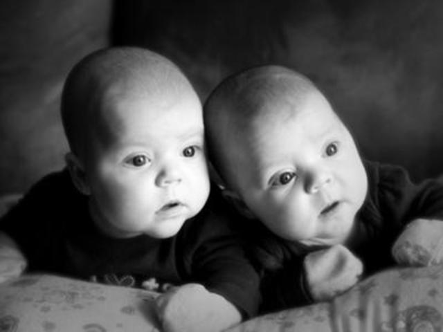 The Pilgrim's Family