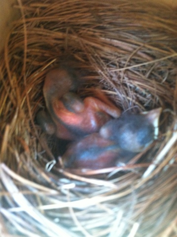 Start work on new project