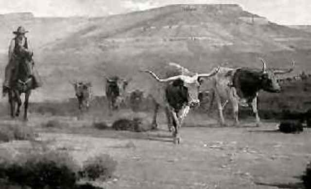 Joseph McCoy established a cattle trading station in Kansas