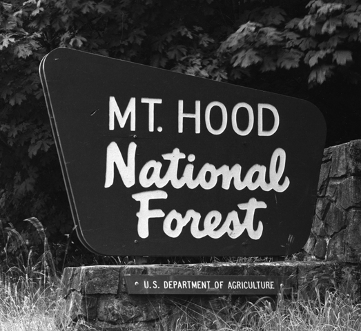 forest reserve act passed