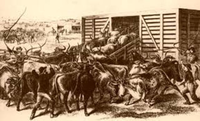 Joseph McCoy established a cattle trading station in Kansas