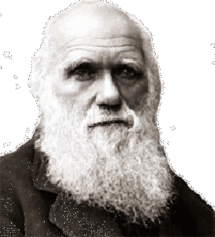 Darwin