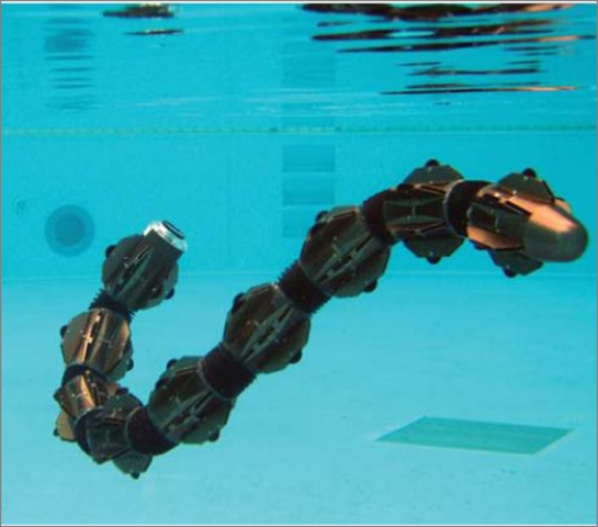 Robot serpent amphibie