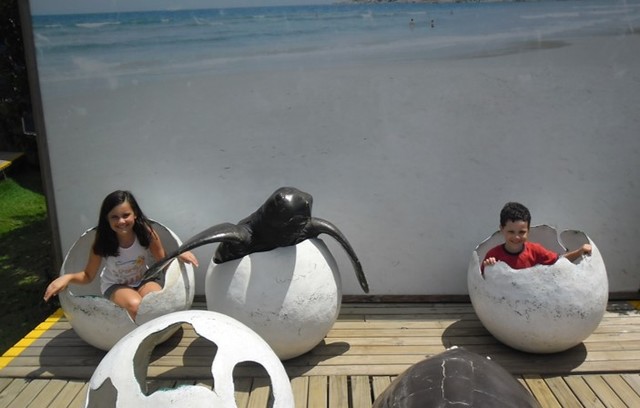 visita ao projeto TAMAR