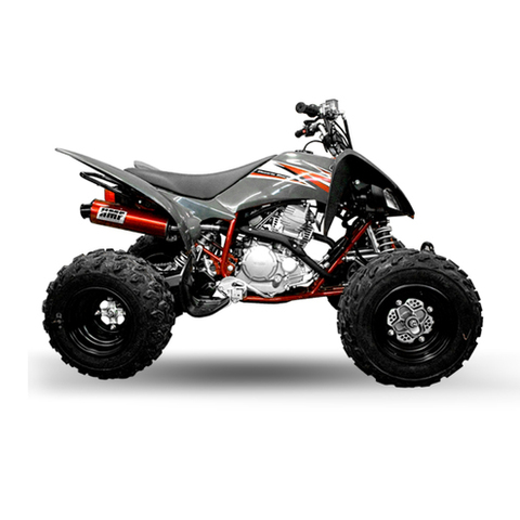 When I bought a raptor 250