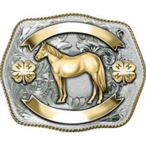 won buckle