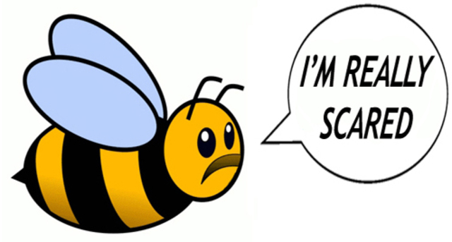 first time stung by bee