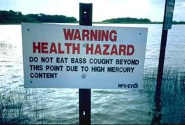 Mercury Pollution