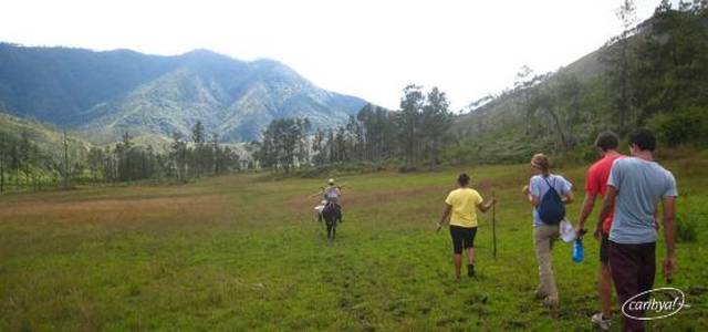 Service Trip in the Dominican Republic