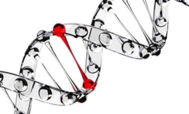 Mutáció megnevezése