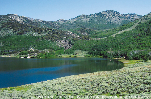 Forest Reserve Act passed