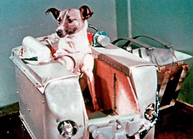 Sputnik 1 i verdensrommet!