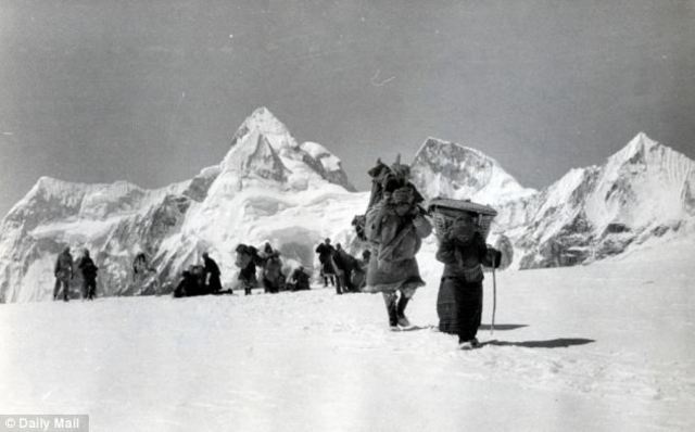 Searching for the Abominable Snowman in Britain