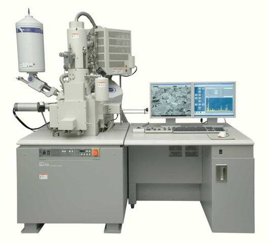 scanning electronic mmicroscope