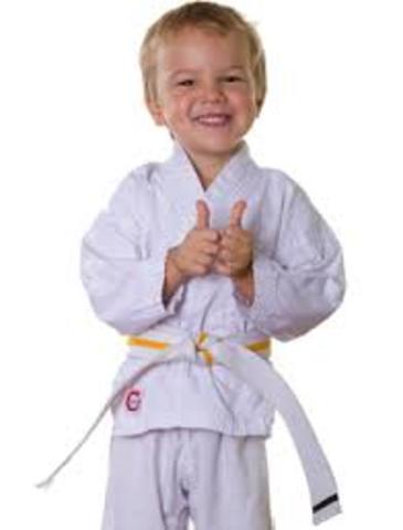 My first martial arts class