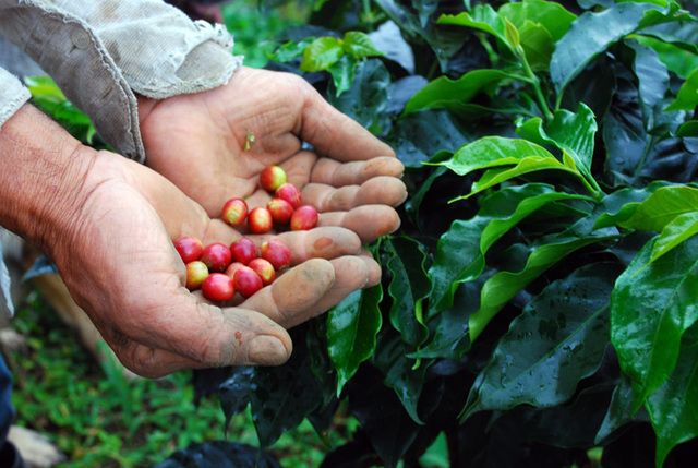 la Convención para la protección del patrimonio mundial cultural y natural.