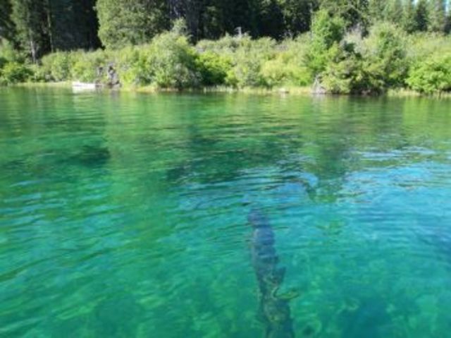 went to clearlake and first time riding a  two wheel bike