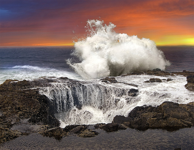 FISH POPULATIONS on the oregon coast