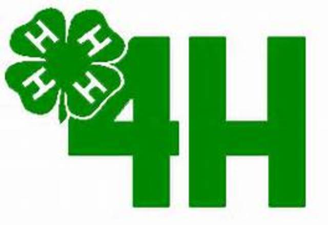 Madison went into the championship round for 4h sheep showing