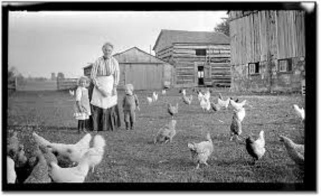 Farms like the coffee county during the the great depression with chickens