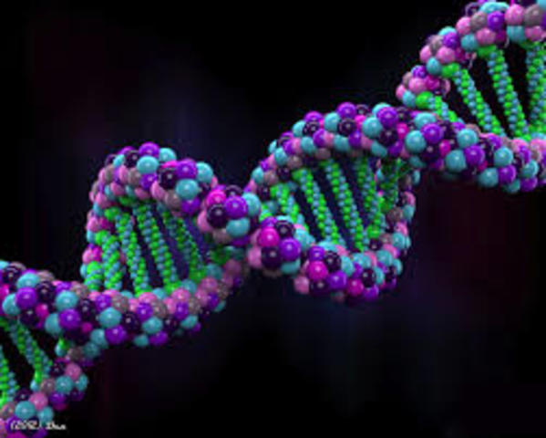 Human Genome Project