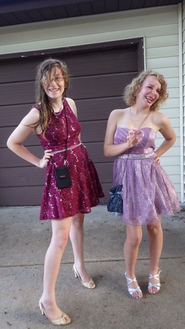 Fête des anciens élèves