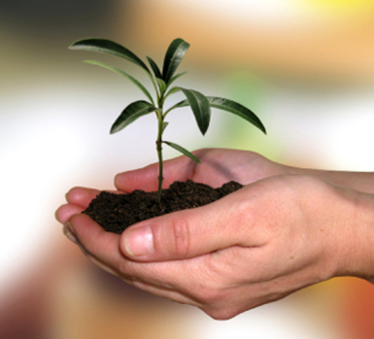 Worsening pollution prompts the passing of the Clean Air Act