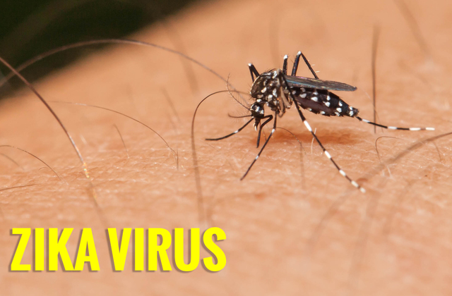 Zika Virus spreads across America.